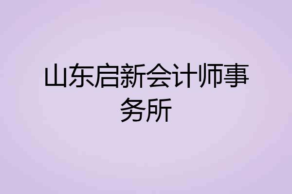 山东启新会计师事务所