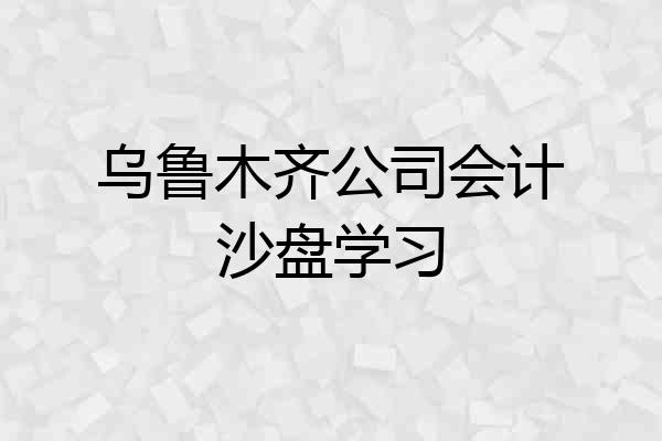 乌鲁木齐公司会计沙盘学习