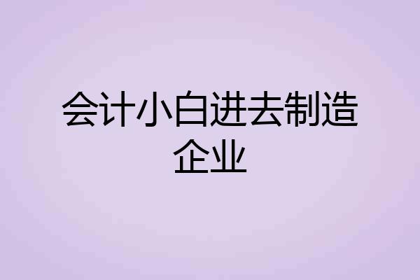 会计小白进去制造企业