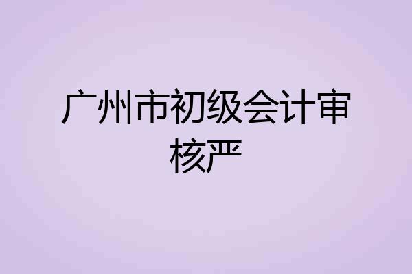 广州市初级会计审核严