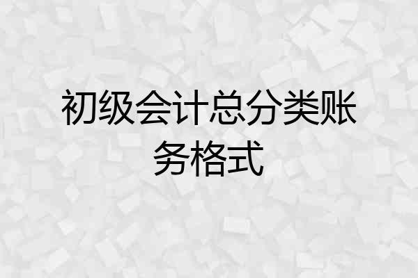 初级会计总分类账务格式
