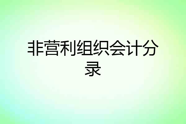 非营利组织会计分录
