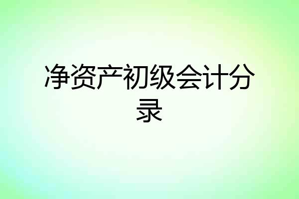 净资产初级会计分录