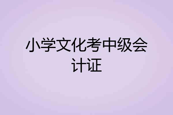 小学文化考中级会计证