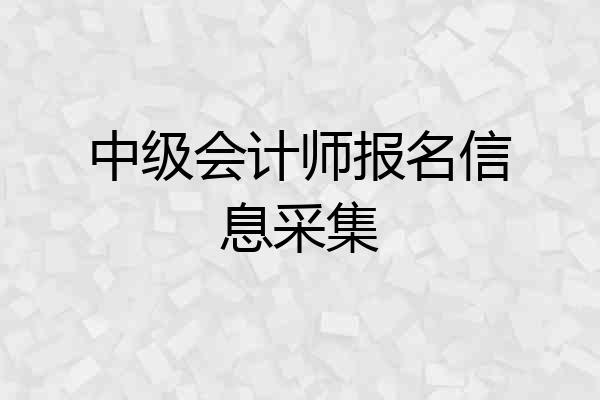 中级会计师报名信息采集