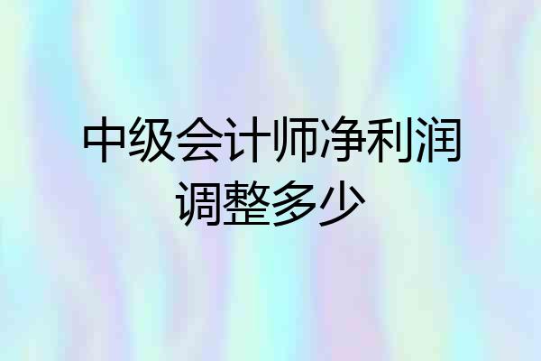 中级会计师净利润调整多少