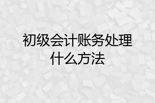 初级会计账务处理什么方法