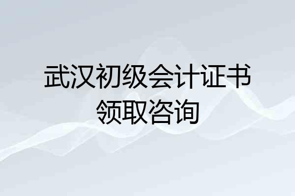 武汉初级会计证书领取咨询
