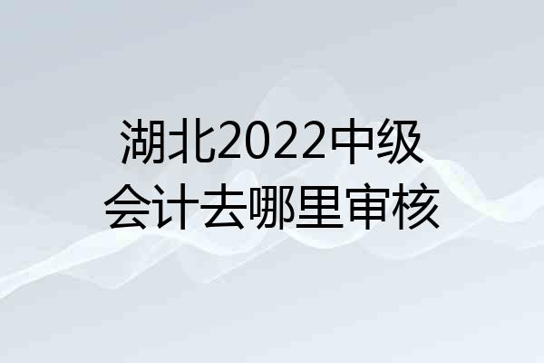 湖北2022中级会计去哪里审核