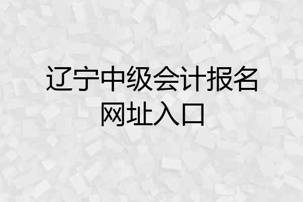 辽宁中级会计报名网址入口