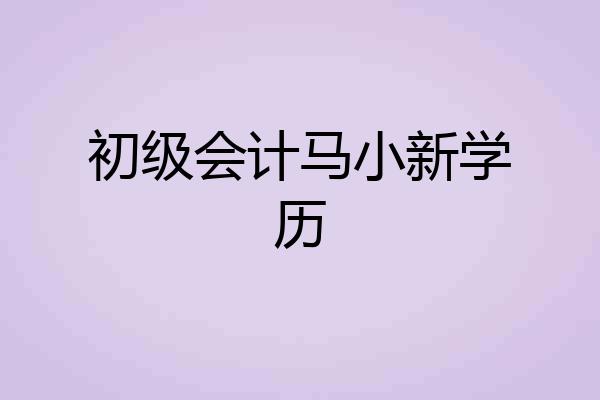 初级会计马小新学历