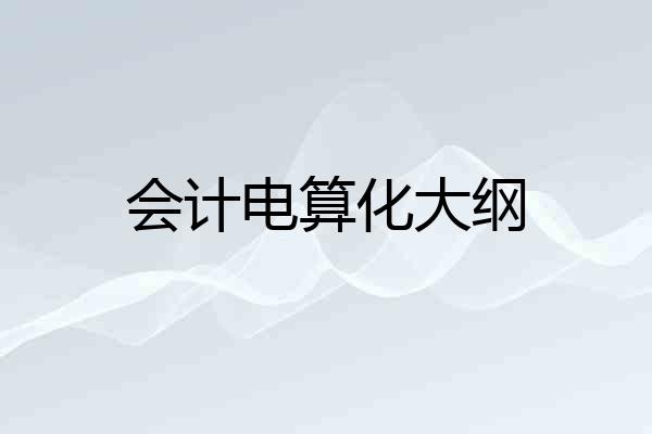 会计电算化大纲