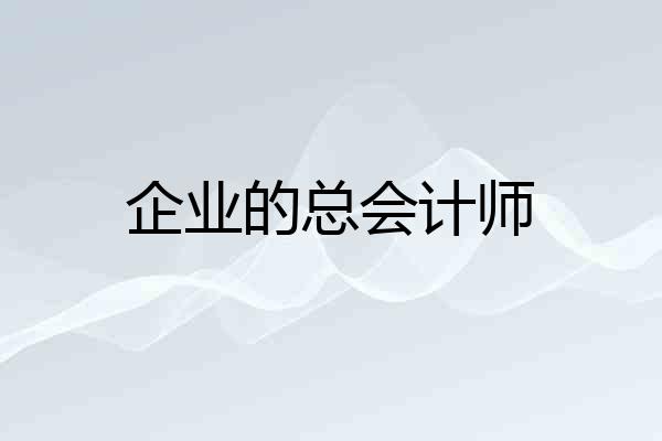 企业的总会计师