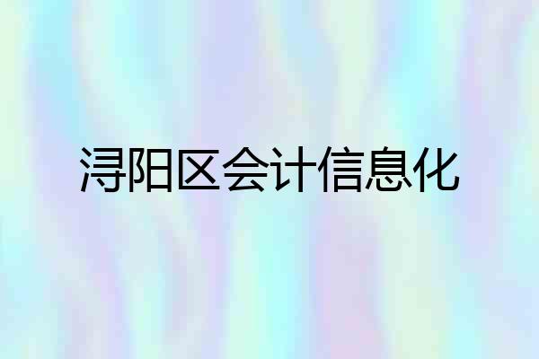 浔阳区会计信息化