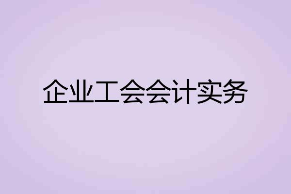 企业工会会计实务