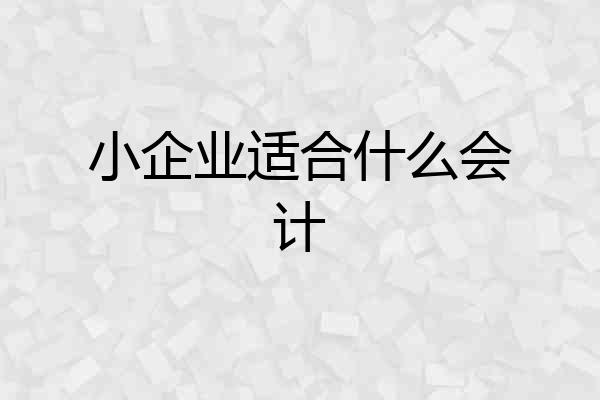 小企业适合什么会计