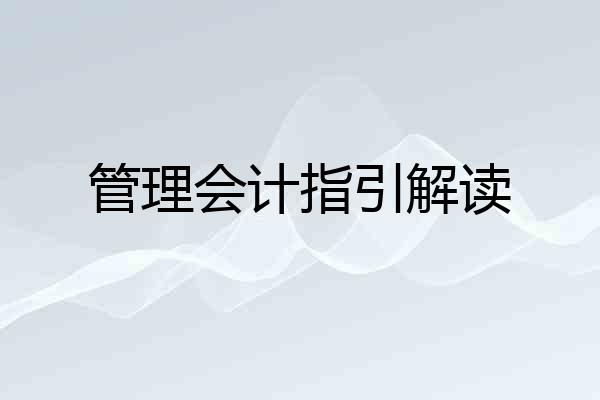 管理会计指引解读