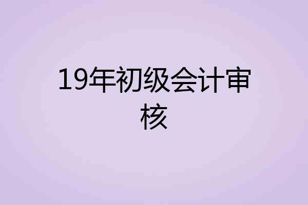 19年初级会计审核