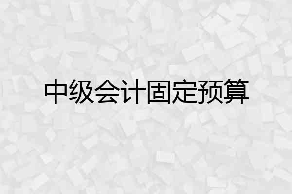 中级会计固定预算