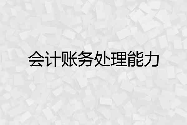 会计账务处理能力