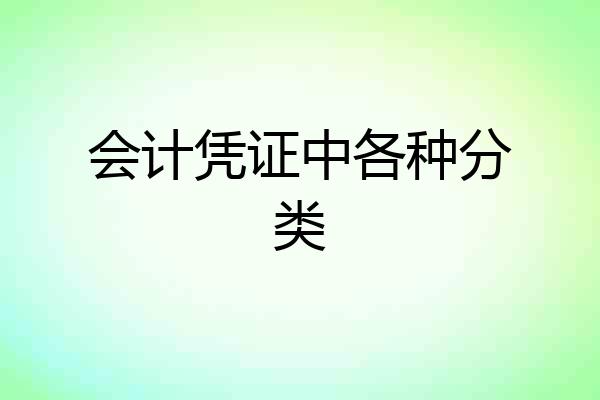 会计凭证中各种分类