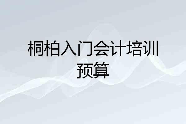 桐柏入门会计培训预算