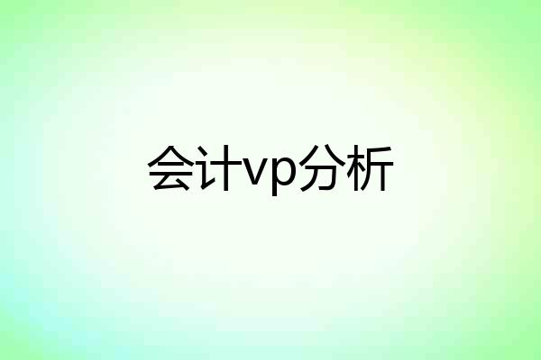 会计vp分析