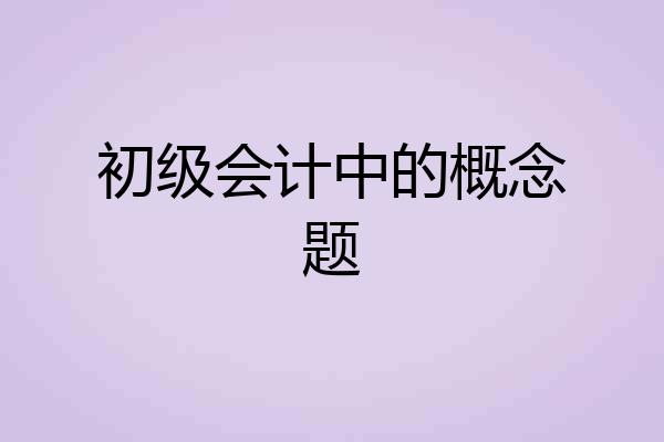 初级会计中的概念题