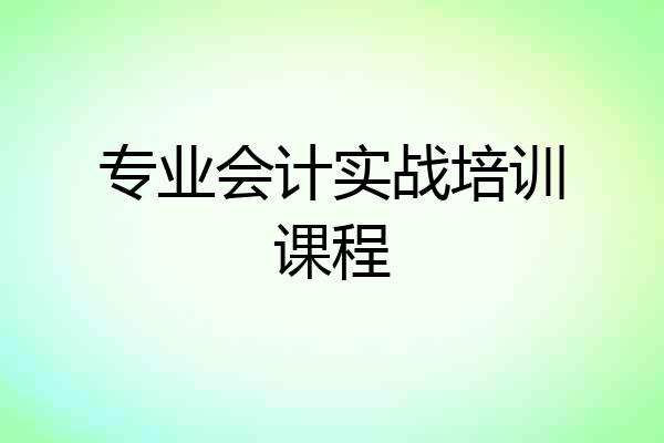 专业会计实战培训课程