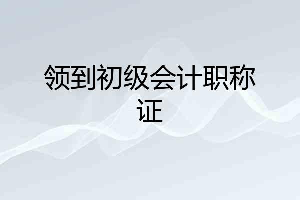 领到初级会计职称证
