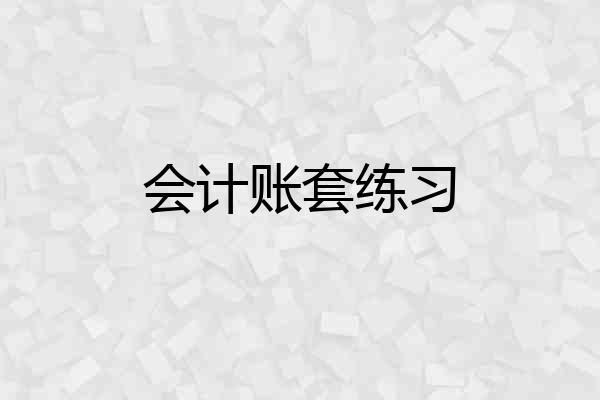 会计账套练习
