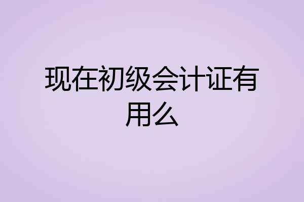 现在初级会计证有用么