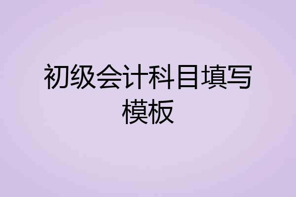 初级会计科目填写模板
