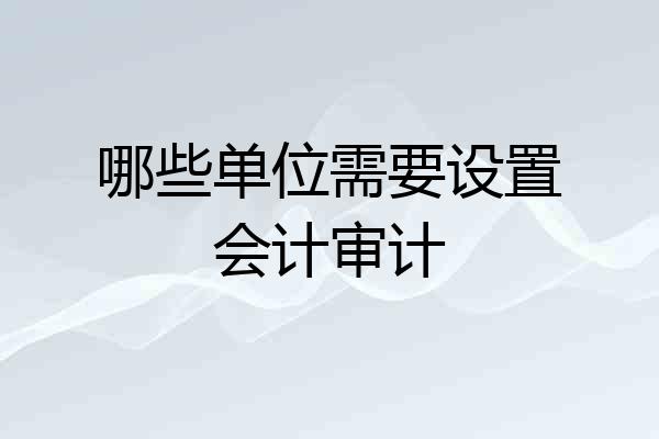 哪些单位需要设置会计审计