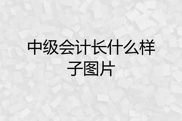 中级会计长什么样子图片