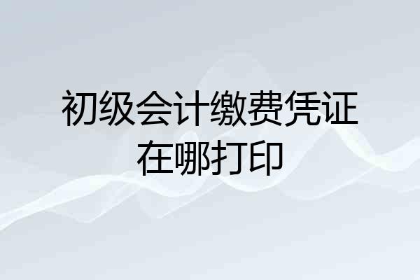 初级会计缴费凭证在哪打印