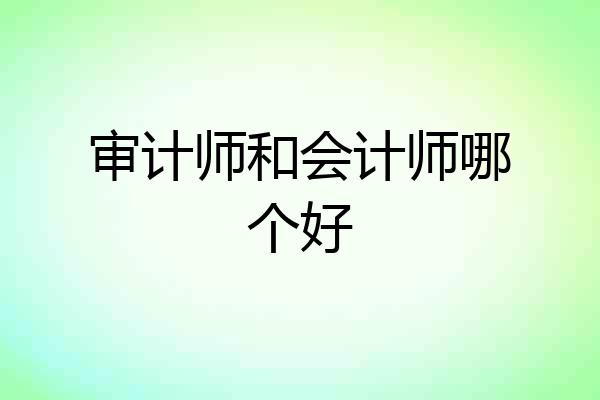 审计师和会计师哪个好