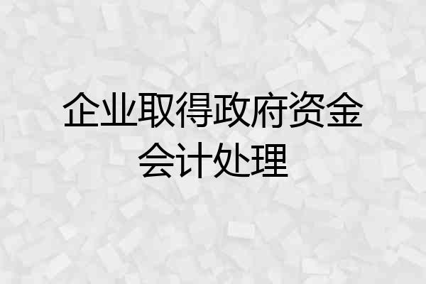 企业取得政府资金会计处理