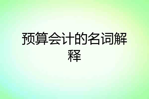 预算会计的名词解释