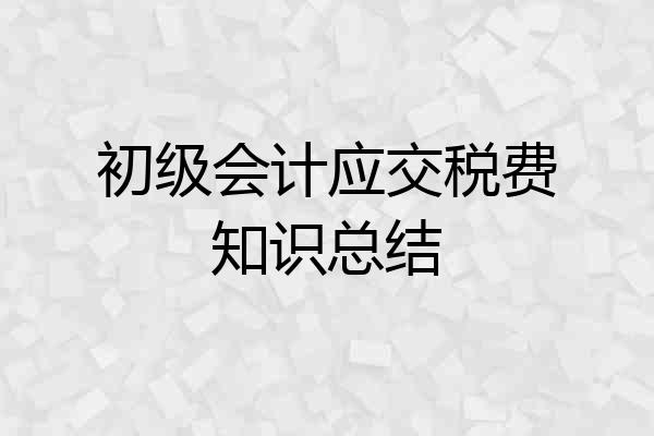 初级会计应交税费知识总结