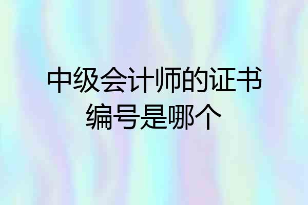 中级会计师的证书编号是哪个