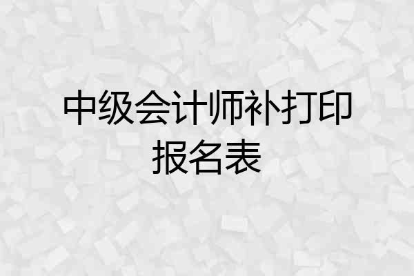 中级会计师补打印报名表