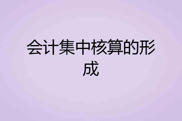 会计集中核算的形成