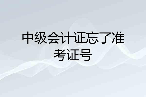 中级会计证忘了准考证号