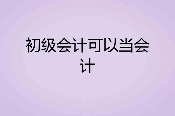 初级会计可以当会计