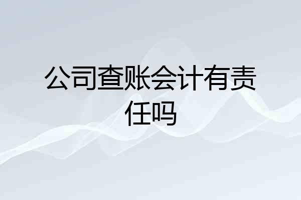 公司查账会计有责任吗