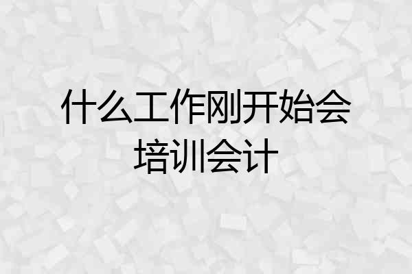 什么工作刚开始会培训会计