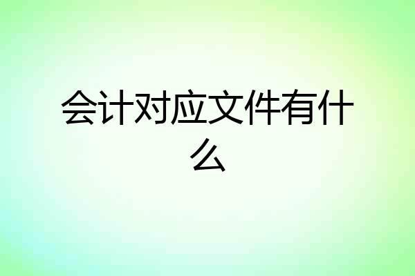 会计对应文件有什么