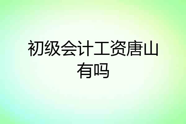 初级会计工资唐山有吗