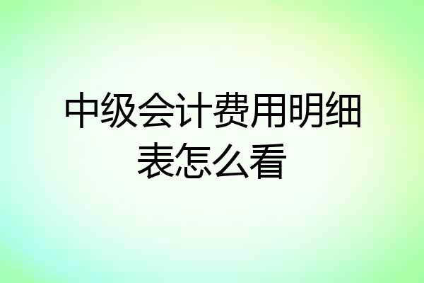 中级会计费用明细表怎么看